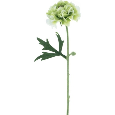 Pryskyřník Jimmy zelený 57 cm