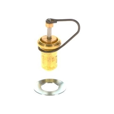 termostat, obohacovanie pri studenom štarte BOSCH F 026 T03 038 (F026T03038)