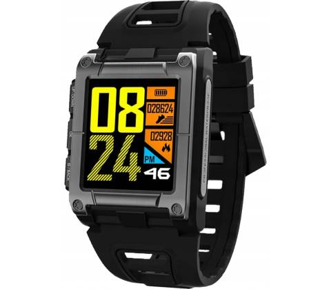 Watchmark WS929