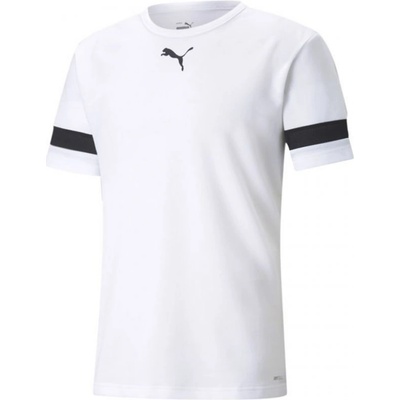 Puma Pánske teamRISE 704932 04