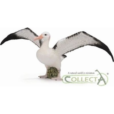 Collecta Albatros Wędrowny