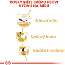 Granule pro psy Royal Canin Pug Adult 1,5 kg