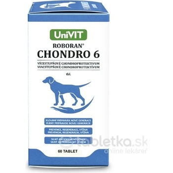 Univit Roboran Chondro 6 60 tbl