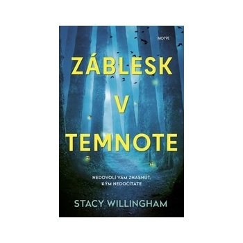 Záblesk v temnote - Stacy Willingham