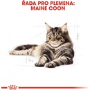 Royal Canin Maine Coon Adult 10 kg