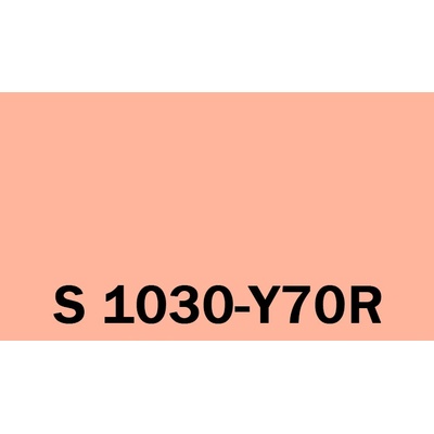 Het Soldecol Unicoat SM 2,5L NCS S 1030-Y70R