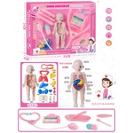 Armtoys ДОКТОРСКИ КОМПЛЕКТ АНАТОМИЯ НА ЧОВЕКА - igrachko