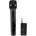 Joyo DM 2