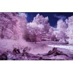 DIMEX ART Флизелинов фототапет инфрачервена гора 375 x 250 см