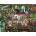 Ravensburger - Puzzle Botanical Kingdom - 2 000 piese