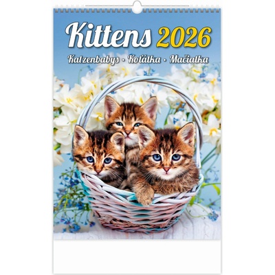 Helma nástěnný Kittens /Katzenbabys /Koťátka /Mačičky 2026