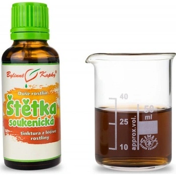 Bylinné kapky Štětka soukenická tinktura 50 ml