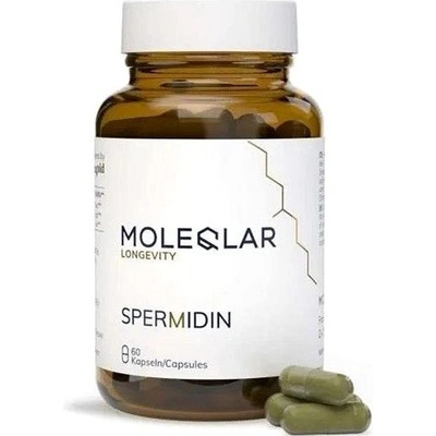 Spermidin od MOLEQLAR 60 kapslí