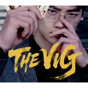 The Vig