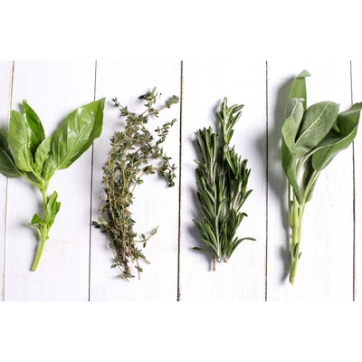 Obraz na plátne - Herbs