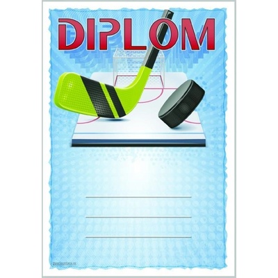 DH03i Diplom hokej
