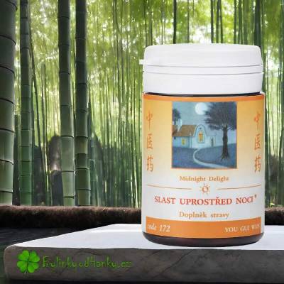 TCM HERBS SLAST UPROSTŘED NOCI 100 tablet (YOU GUI WAN)