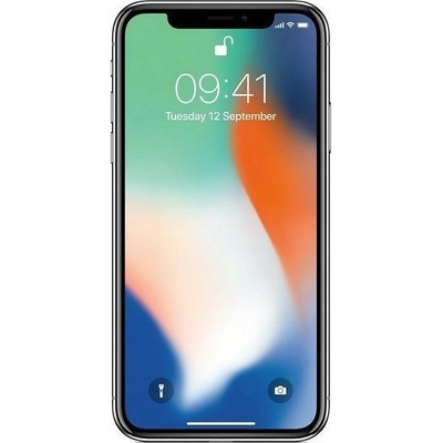 Apple iPhone X 256GB