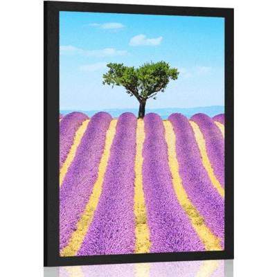 Plakát levandulové pole - 60x90 no frame