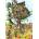 Grafika Art Puzzle - Puzzle The Treehouse - 1 000 piese