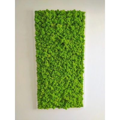 Machový obraz v bielom ráme 120cm x 60cm