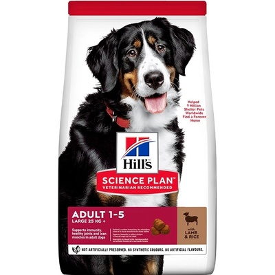 Hill's Science Plan Adult Large Lamb 14 kg
