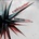 CELLDWELLER - REMIXED UPON A BLACKSTAR CD