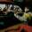 Jack Harlow - Thats What They All Say (Reissue) (LP) (0075678644245)