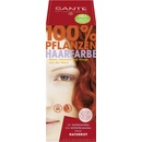 Sante prášková farba na vlasy červená 100 g