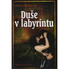 Duše v labyrintu