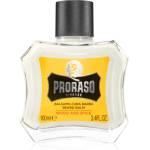 Proraso Wood and Spice балсам за брада 100ml