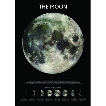 Plagát - The Moon