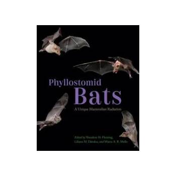 Image 1 of Phyllostomid Bats