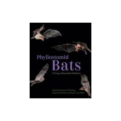 Phyllostomid Bats