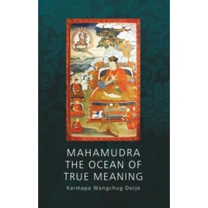 Mahamudra - The Ocean of True Meaning | Wangchug Dorje Karmapa, Henrik Havlat (2017)