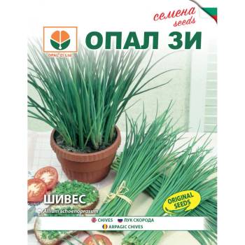 Image 1 of Opal Zi Шивес (Луков)