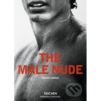 Male Nude - Leddick, David