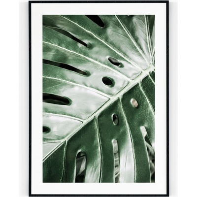Plakát / Obraz Monstera 30 x 40 cm Tiskové plátno Bez okraje
