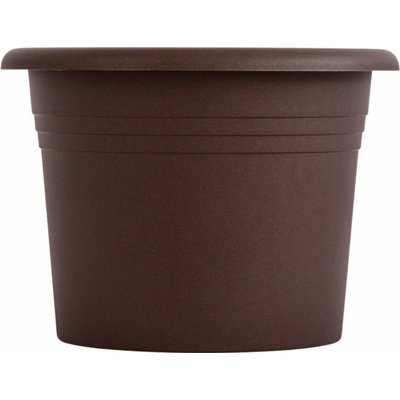 Abex Narcis 35 cm čokoláda