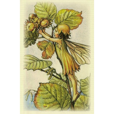 Pohlednice Květinová víla 29