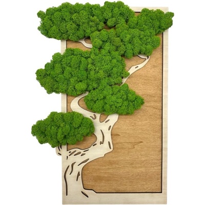 Machový obraz Bonsai 50x30cm