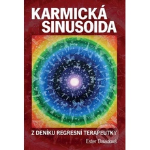 KARMICKÁ SINUSOIDA - Z DENÍKU REGRESÍVNÍ TERAPEUTKY