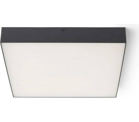 RENDL R13489