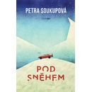 Pod sněhem