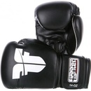 Fighter MUAY THAI