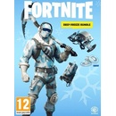 Hry na Nintendo Switch Fortnite: Deep Freeze Bundle