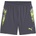 PUMA Къси панталони Puma IndividualCUP Football Shorts Adults - Galactic Grey