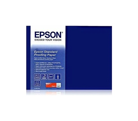 Epson C13S045111