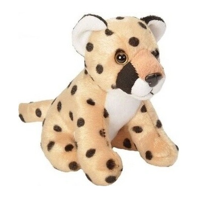 leopard EDEN 15 cm