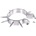 METAL HARD Нашийник metalhard steel slave collars